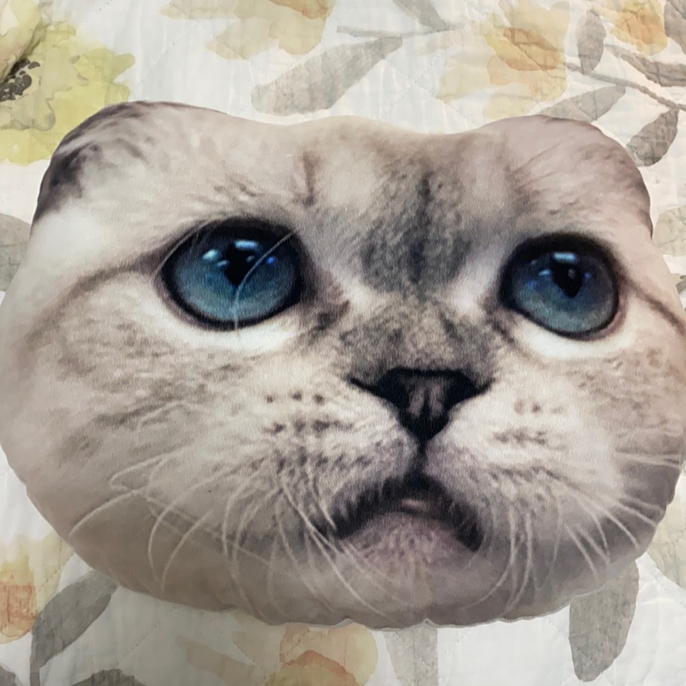 Taylor Swift Meredith and Olivia Swift Cat Pillow Merch